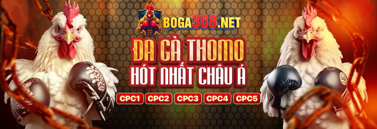 Video Slot (5 cuộn trở lên)