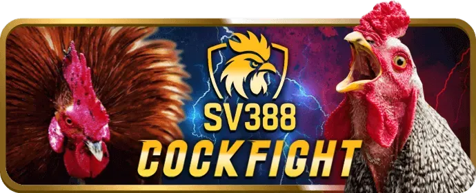 Các tính năng nổi bật của game bắn cá B29BET